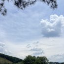 청풍호로 | 제천가볼만한곳 추천 (의림지, 청풍호반케이블카, 청풍호유람선 꿀팁 및 후기)