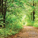 양재어린이공원 이미지