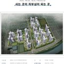주식회사 엘리프