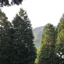 수남농장 이미지