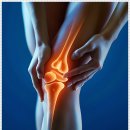 성모마디튼튼재활의학과의원 | VDT 증후군 컴퓨터 사용과 근골격계 건강의 관계