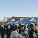 프리런 | 런린이의 인생 첫 마라톤 &#39;2025 고프리런&#39; 10km 후기 +단풍 구경은 덤