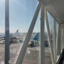 무지개세탁소 | 2026년 겨울 제주 우정 여행 후기