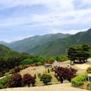 로미지안 치유의 숲 이미지