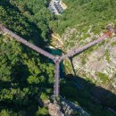 거창청과 이미지