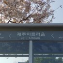 해안동입구 (제주아트리움방면) 이미지