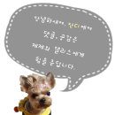 티에이치배송