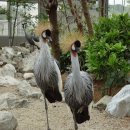 마쓰에 6 - 신지코호수를 지나 꽃과 새, &#34;포겔파크&#34; 를 보다! 이미지