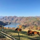 좋은목장 이미지