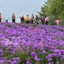 (주)햇살드림푸드서비스 투어코리아