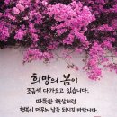 행복한아침 이미지