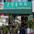 은빛플라워 이미지