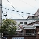 쓰리블렌드