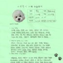 1356 | [#1356] 양순(양측 고관절 대퇴골두절제술)의 수술후기