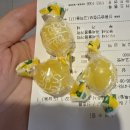 흐름 | 제주시청 파스타 맛집 흐름 방문 후기｜도남동 브런치, 라자냐와 에그베네딕트 맛본 솔직 리뷰