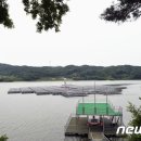 금광 이미지
