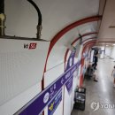 561 이미지