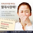 염 의 서 원 이미지