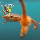 제목추천받아요