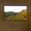 관정목장2 | [충청북도 청주시 상당구] 태산승마타운