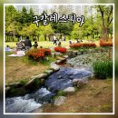 구갈레스피아 게이트볼장 | 용인 피크닉 명소 구갈레스피아 주말나들이 코스