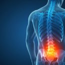 휘트니스A 이미지