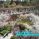 동구여자중학교 이미지