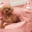 예쁘고멍 이미지