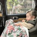 엘림카시트 이미지