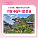 수정사 | 의성 여행 :: 금성산 속 숨은 산사, 의성 수정사 봄 풍경