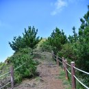 하루산책 이미지