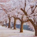 27 당구클럽 이미지