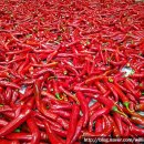 만복엄나무집 이미지