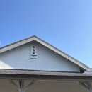 강아지 정거장 | ’26.02.12-14 부산-대마도 2박3일 혼자여행(2) : 부산 해변열차 미포정거장, 송정해수욕장