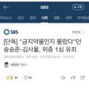 [단독] "금지약물인지 몰랐다"던 송승준-김사율, 위증 1심 유죄 이미지