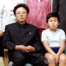 김정남 카카오 검색결과