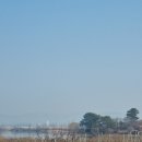 동읍스카이부동산중개사무소 이미지