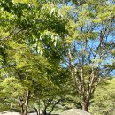 캠핑스마일 이미지