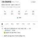 고핌 이미지