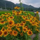 유유자적 이미지