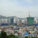 황령산 편백단지 이미지