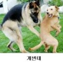 뮤뮤 이미지