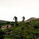 해뜨는모터스 이미지