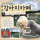 해피존 | [일상] 대형 운동장 있는 반려견 놀이터 추천 ｜ 해피존 애견카페 방문 후기