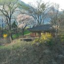민충사 이미지