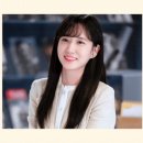 송아 이미지