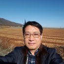 녹지태양광발전소 이미지