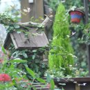 평창농원 이미지