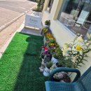 아마레카페 | 소소한 힐링 양산 브런치 카페 추천 -아마레