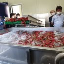 고창 농협 이미지